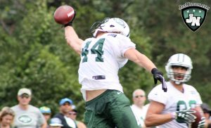 Even Jace Amaro couldn't help but admire Zach Sudfeld's one-handed grab.