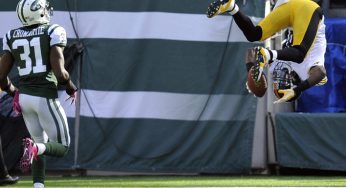 Jets Fall To Steelers, 19-6