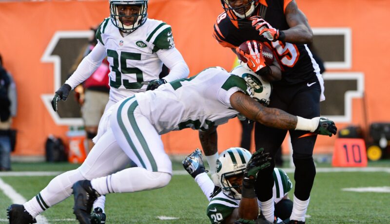 New York Jets Report Card: Week 8