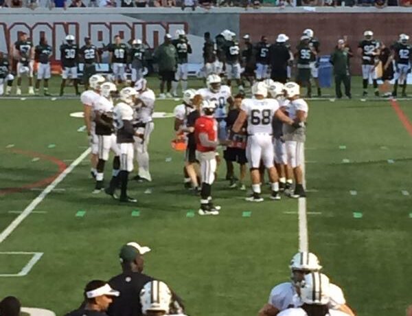 Jets Camp News Round Up