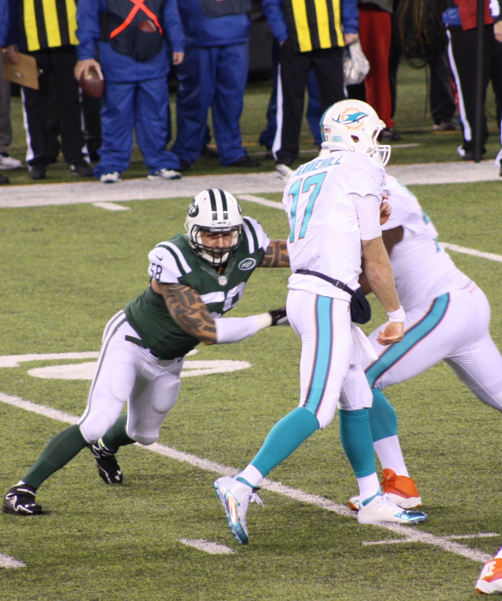 Jason Babin - JetNation.com - New York Jets Blog & Forum New York Jets