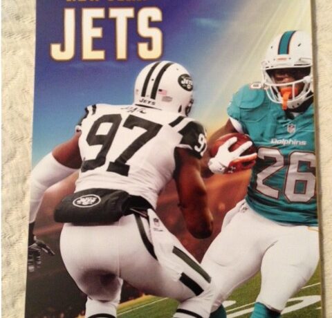 Preview: Division Foe (Jets \ Dolphins)