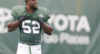 Spotlight on David Harris