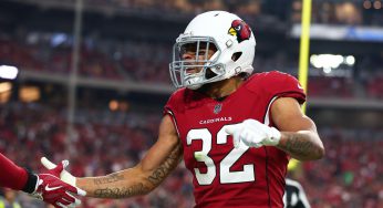 Report: Honey Badger Needs a Home