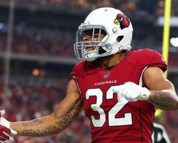 Report: Honey Badger Needs a Home