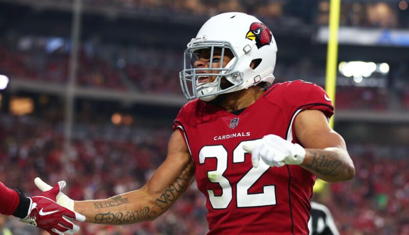 Report: Honey Badger Needs a Home