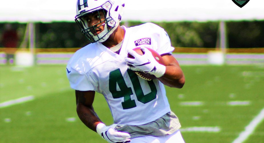 Jets Camp Position Preview: Running Backs