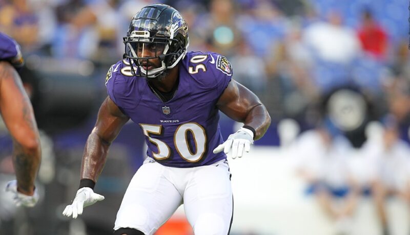 Jets add Veteran Linebacker Following Williamson Injury