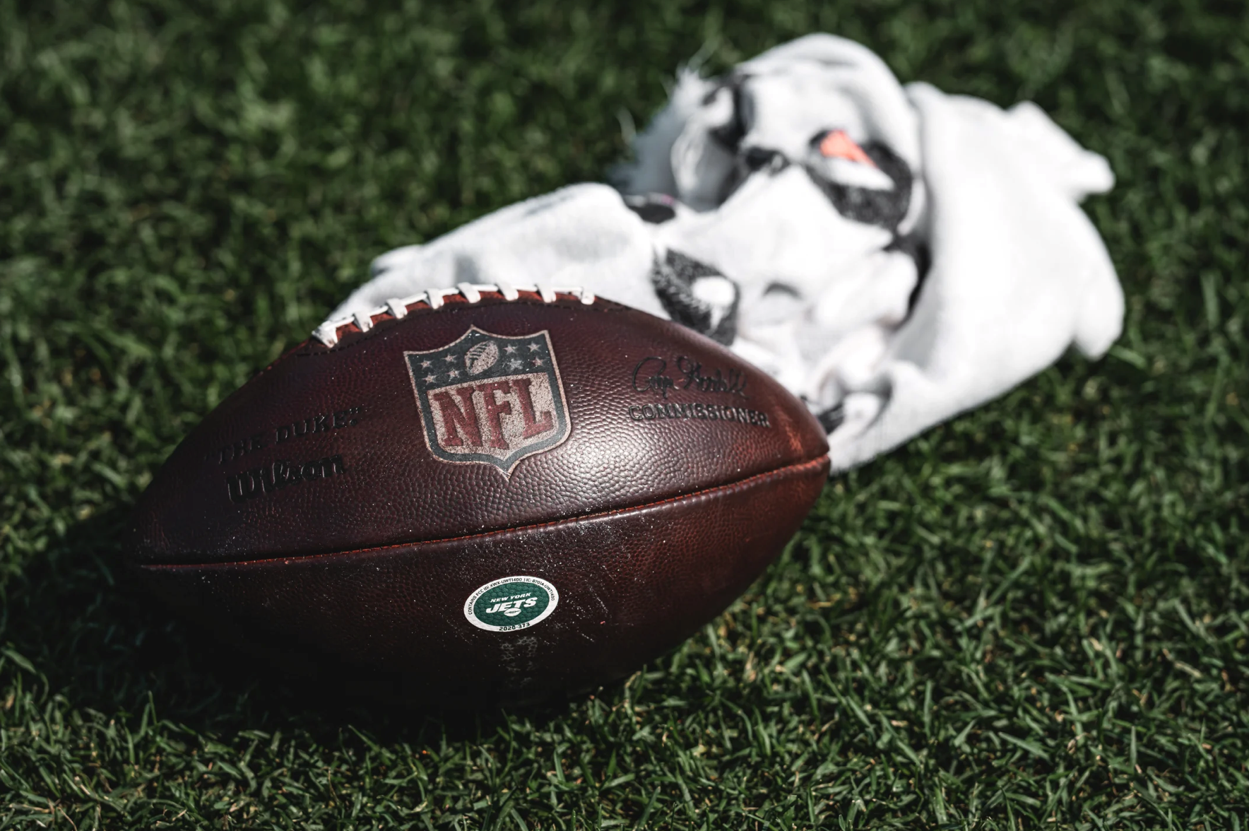NY Jets - JetNation.com - New York Jets Blog & Forum NY Jets