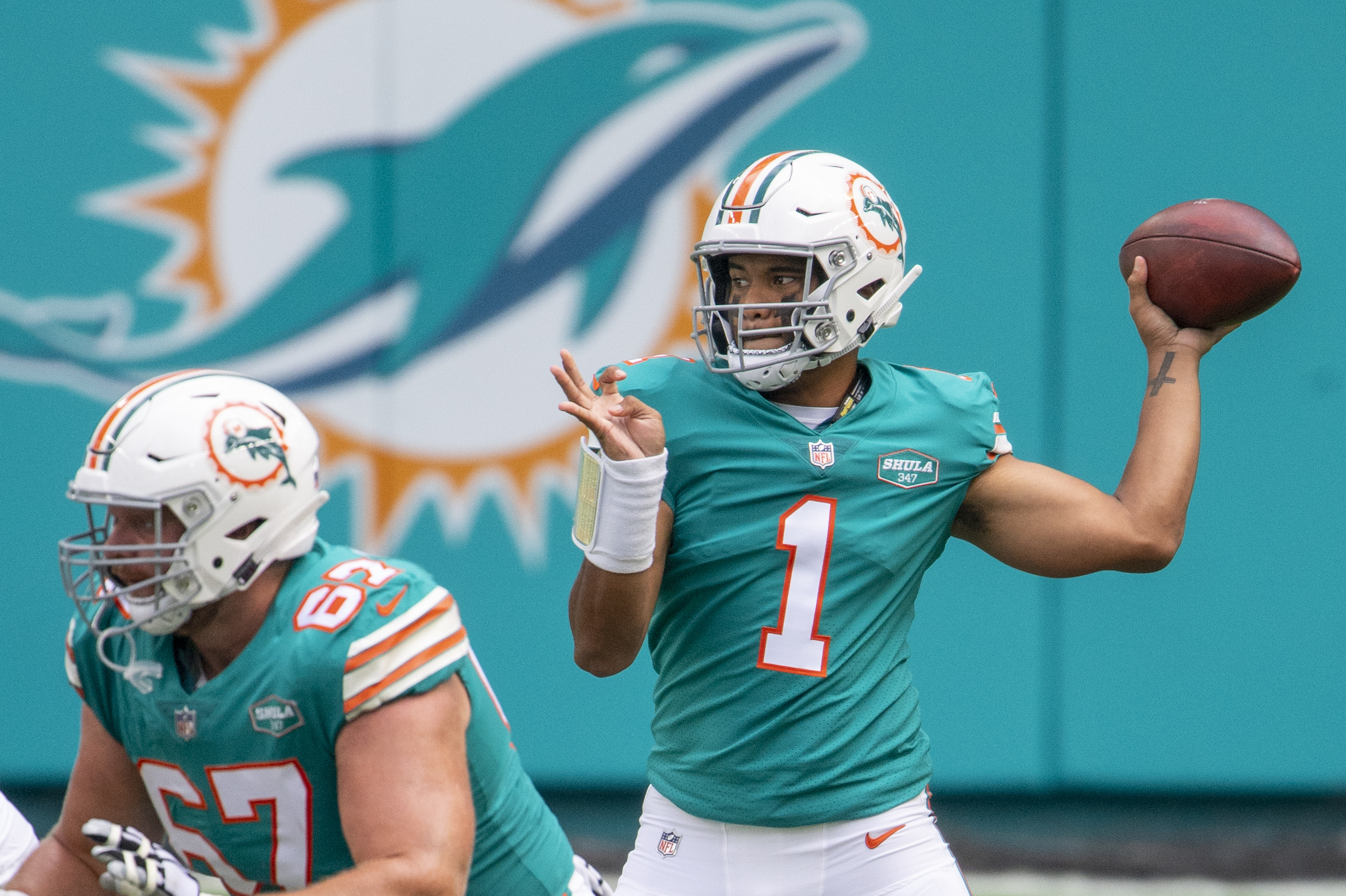 Tua Dolphins