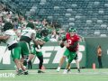 Green & White Update