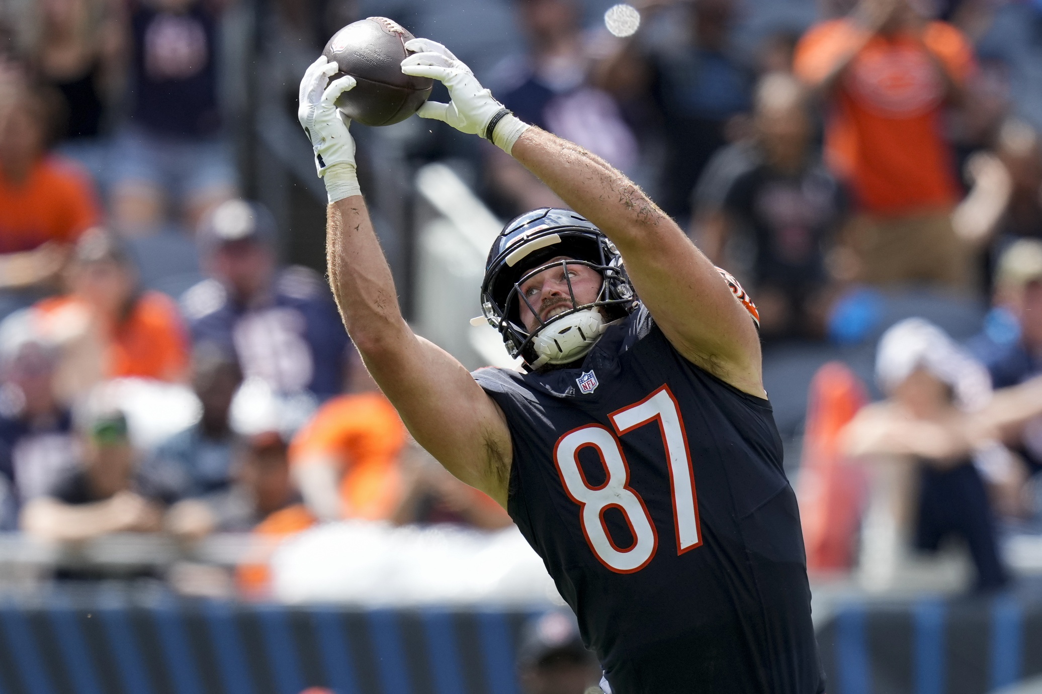 NFL Cincinnati Bengals at Chicago Bears - JetNation.com - New York Jets Blog & Forum