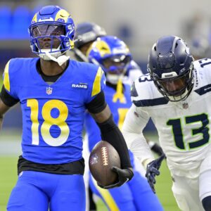 Why Jets Fans Should pay Attention to WR Tyler Johnson